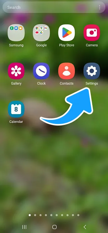 Step 1 - Phone settings